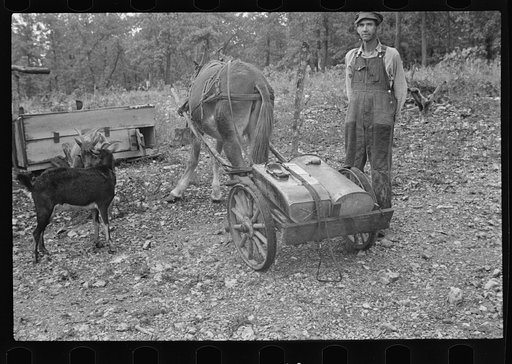 Sharecropper with homemade water wagon, Arkansas