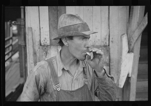 A deckhand aboard the Queen of Dycusburg, Memphis, Tennessee