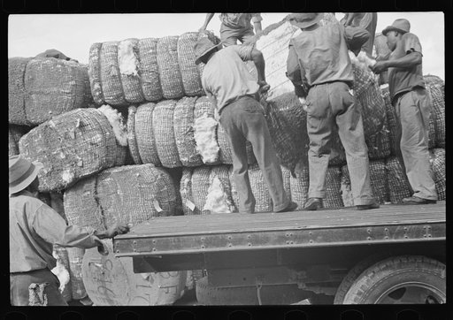 Untitled photo, possibly related to: Loading cotton in Natchez, Mississippi