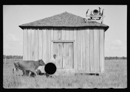 Untitled photo, possibly related to: Sharecropper, Pulaski County, Arkansas, "Mother Lane"
