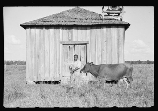 Sharecropper, Pulaski County, Arkansas, "Mother Lane"