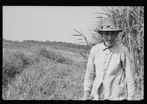 Untitled photo, possibly related to: Sugarcane worker, Plaquemines Parish, Louisiana
