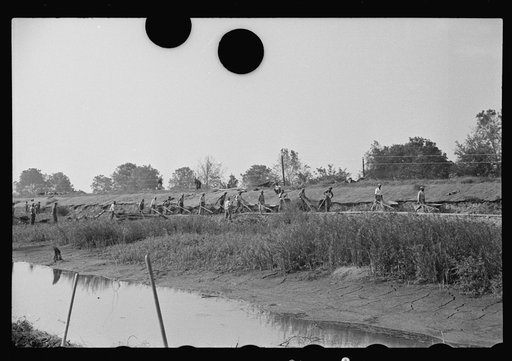 Untitled photo, possibly related to: Levee workers, Plaquemines Parish, Louisiana