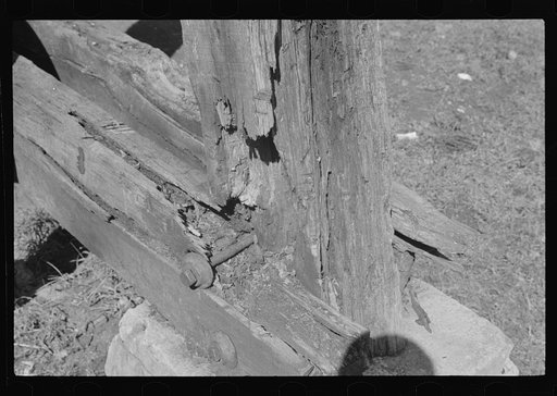 Rotting timber, Dobra, West Virginia