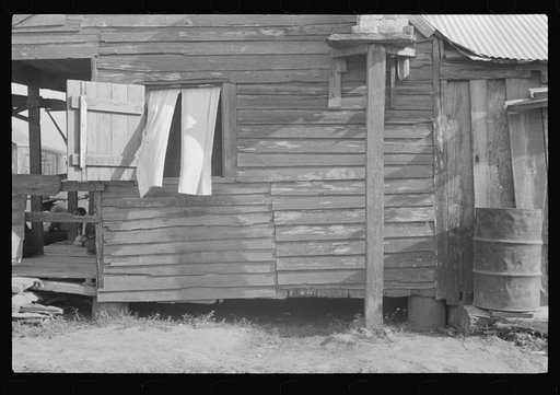 Colored trapper's home, Louisiana