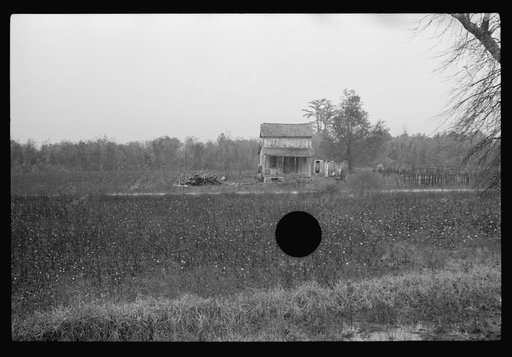 Untitled photo, possibly related to: Home of sharecroppers, Arkansas