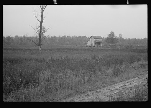 Untitled photo, possibly related to: Home of sharecroppers, Arkansas