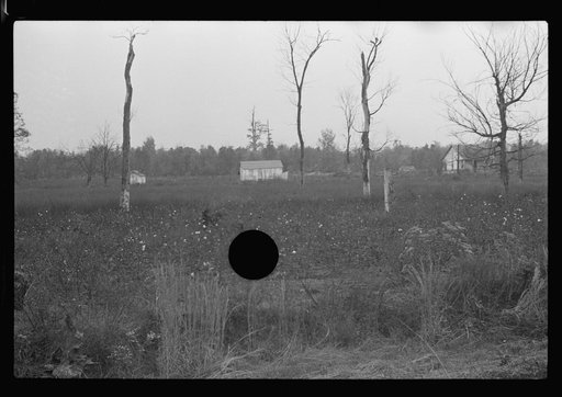 Untitled photo, possibly related to: Home of sharecroppers, Arkansas