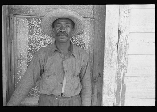 Arkansas sharecropper