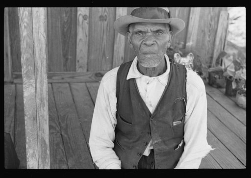 Strawberry grower, Amite City, Louisiana