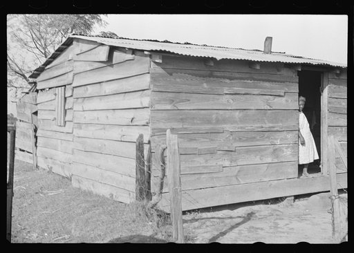 Untitled photo, possibly related to: Strawberry grower's shack, Hammond, Louisiana