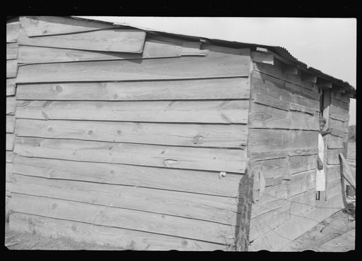 Untitled photo, possibly related to: Strawberry grower's shack, Hammond, Louisiana