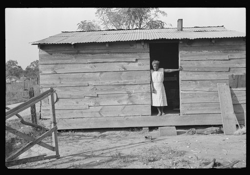 Strawberry grower's shack, Hammond, Louisiana