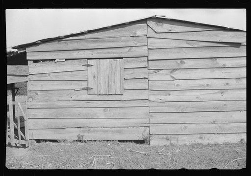Strawberry picker's hut, Hammond, Louisiana