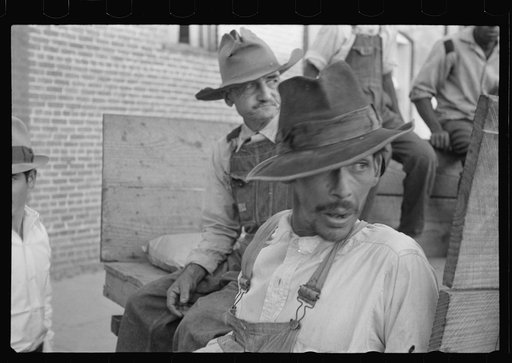 Untitled photo, possibly related to: Strawberry growers, Hammond, Louisiana