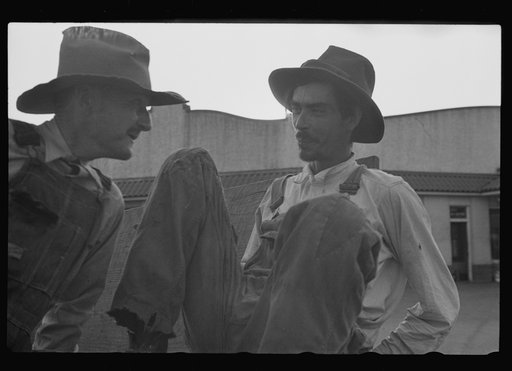 Untitled photo, possibly related to: Strawberry growers, Hammond, Louisiana