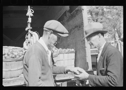 Untitled photo, possibly related to: Camden, Tennessee