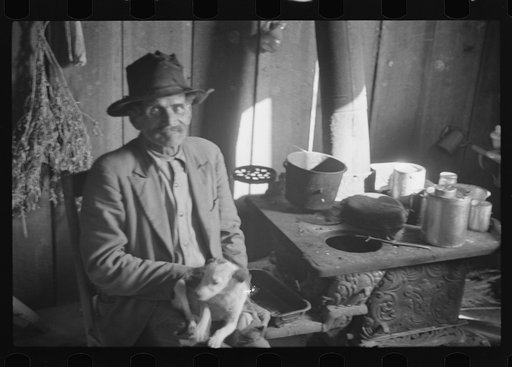 Untitled photo, possibly related to: Strawberry picker, Hammond, Louisiana