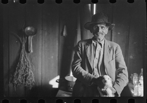 Untitled photo, possibly related to: Strawberry picker, Hammond, Louisiana