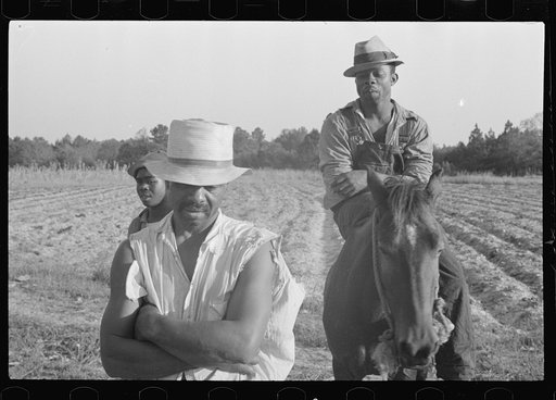 Untitled photo, possibly related to: Strawberry picker, Hammond, Louisiana