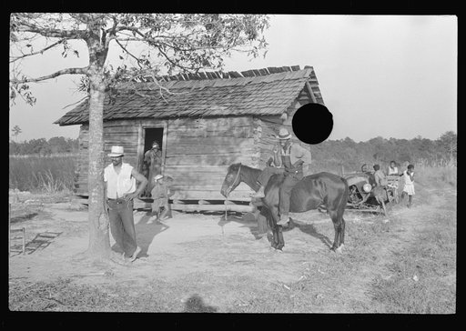 Untitled photo, possibly related to: Strawberry picker, Hammond, Louisiana