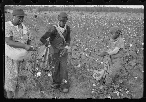 Untitled photo, possibly related to: Cotton pickers, Pulaski County, Arkansas