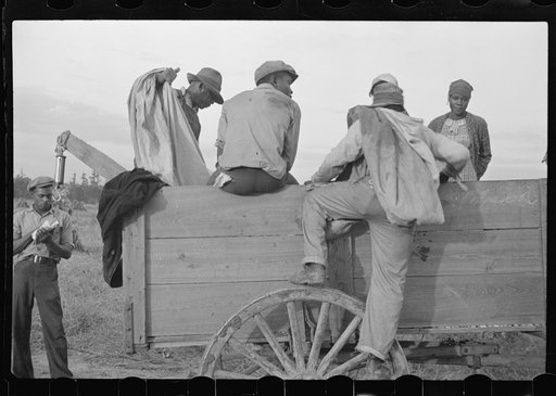Cotton pickers at close of day, Pulaski County, Arkansas