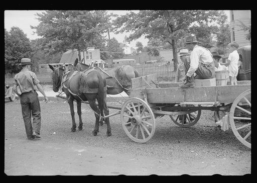 Untitled photo, possibly related to: Horse and wagon, Crossville, Tennessee