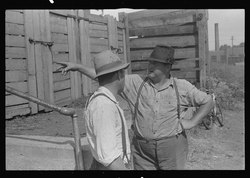 Farmers at Pickaway Livestock Cooperative Association, central Ohio