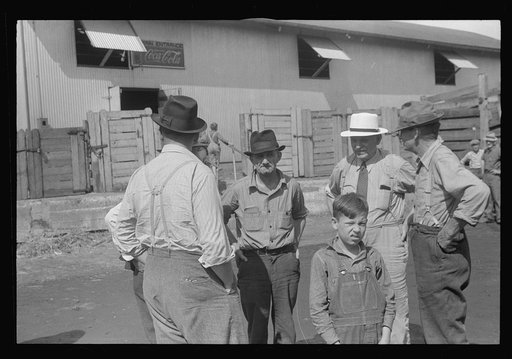 Untitled photo, possibly related to: Boys by gate, Pickaway Livestock Cooperative Association, central Ohio
