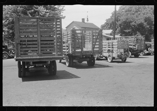 Farmers' trucks for hauling cattle to the Pickaway Livestock Cooperative Association, central Ohio