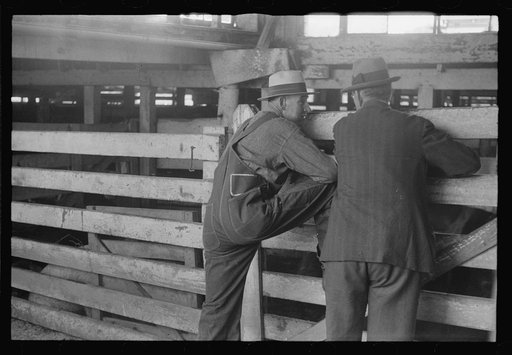 Untitled photo, possibly related to: Cattle pens, Pickaway Livestock Cooperative Association, central Ohio
