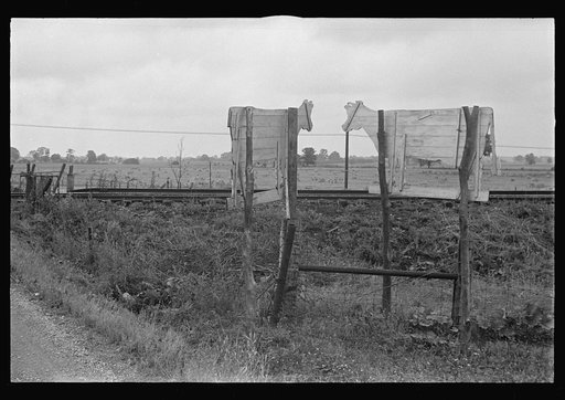 Roadside advertising along Route 40, central Ohio (see general caption)