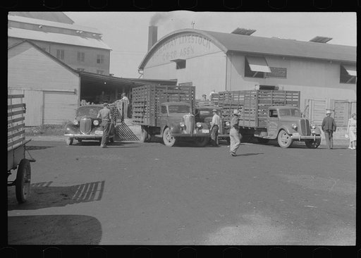 Stock Cooperative Association, central Ohio (see general caption)