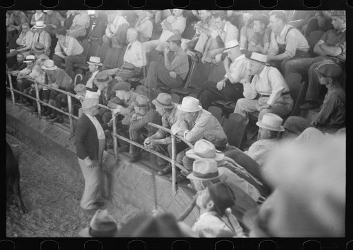 Untitled photo, possibly related to: Men at auction room, Pickaway Livestock Cooperative Association