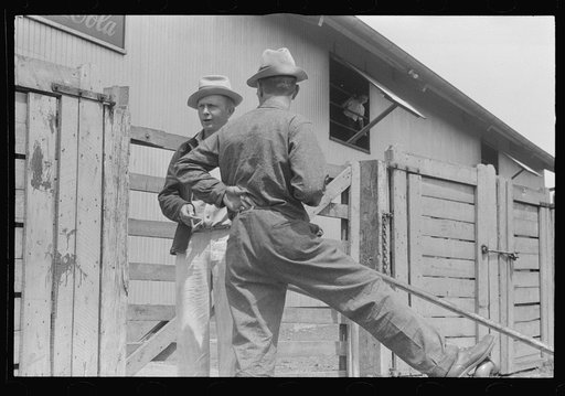 Farmers at Pickaway Livestock Cooperative Association, central Ohio