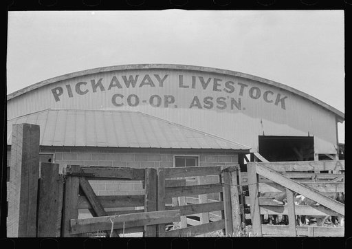 Pens and auction rooms of Pickaway Livestock Cooperative Association, central Ohio