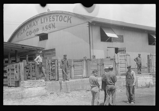Unloading platform at the Pickaway Livestock Cooperative Association, central Ohio