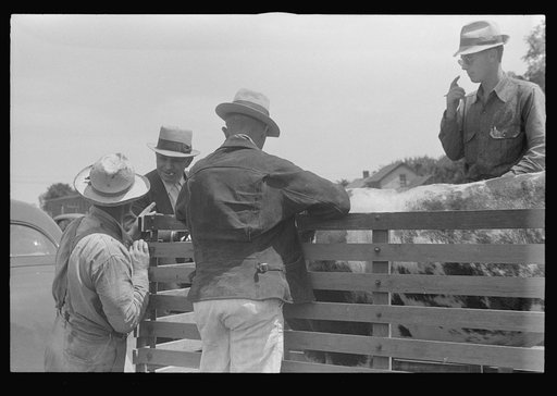 Untitled photo, possibly related to: At the Pickaway Livestock Cooperative Association, central Ohio