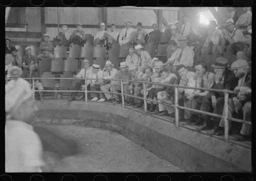 Untitled photo, possibly related to: Men at auction room, Pickaway Livestock Cooperative Association