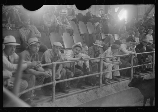 Untitled photo, possibly related to: Men at auction room, Pickaway Livestock Cooperative Association