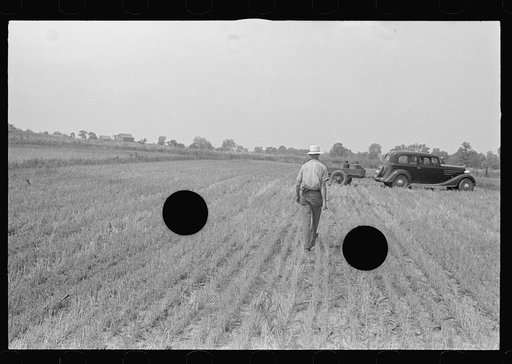 Untitled photo, possibly related to: Hauling wheat to thresher, central Ohio