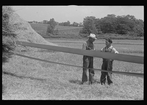 Two members of threshing crew standing by belt which supplies power for separator, central Ohio. One on left is Virgil Thaxton