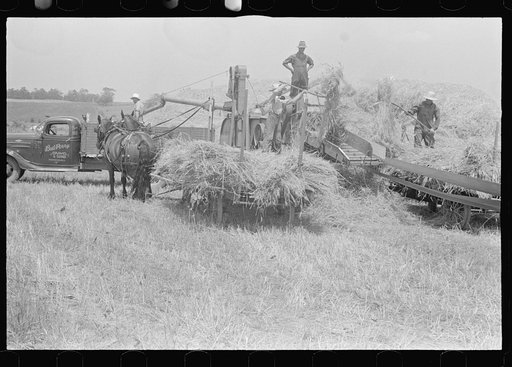 Untitled photo, possibly related to: Filling truck with threshed grain, central Ohio (see general caption)