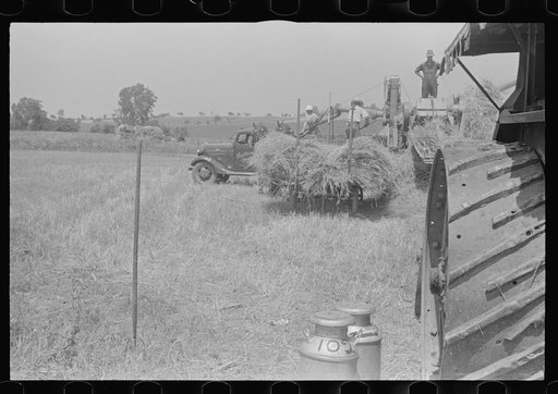 Untitled photo, possibly related to: Filling truck with threshed grain, central Ohio (see general caption)
