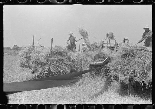 Untitled photo, possibly related to: Filling truck with threshed grain, central Ohio (see general caption)
