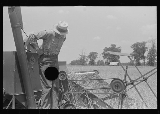 Untitled photo, possibly related to: Member of threshing crew, central Ohio