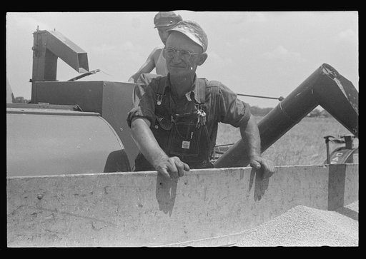 Untitled photo, possibly related to: Dumping wheat into truck from combine, central Ohio