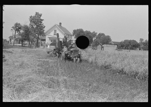 Untitled photo, possibly related to: Combing wheat, central Ohio