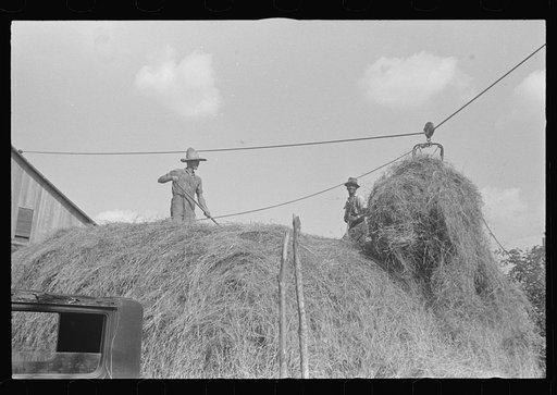 Stacking hay with cable rig and fork, central Ohio
